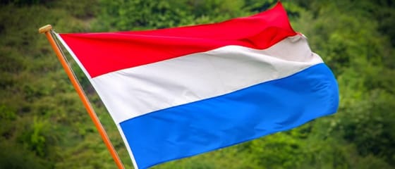 Wazdan aumenta su presencia en los Países Bajos con un acuerdo de bingoal